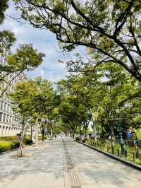 【大阪府:中之島】街並みと自然とレトロな建造物をお散歩！