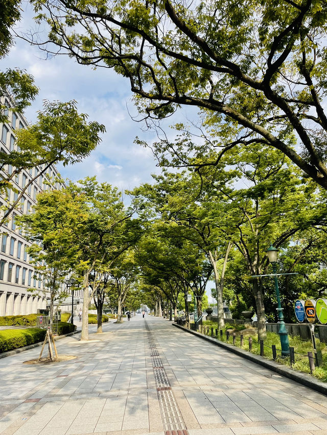 【大阪府:中之島】街並みと自然とレトロな建造物をお散歩！