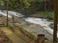 Bukit Hijau Recreational Forest