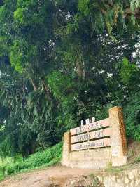 STAYCATION AT MUTIARA TAMAN NEGARA