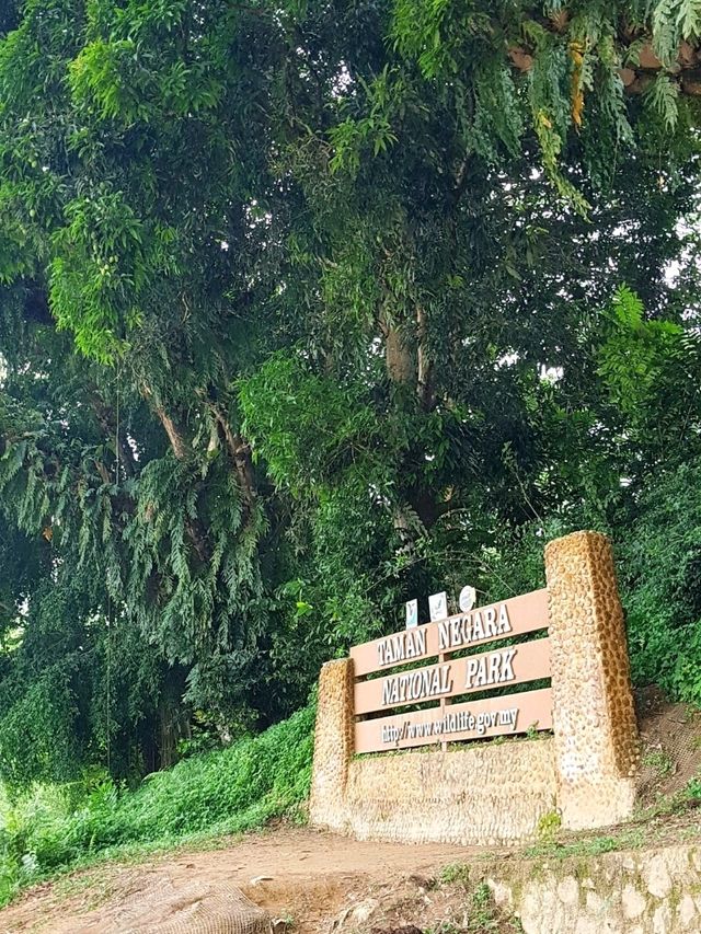STAYCATION AT MUTIARA TAMAN NEGARA