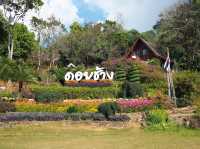 🌳ศูนย์วิจัยและพัฒนาการเกษตรที่สูงวาวี