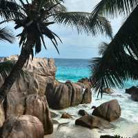 Untouched Beauty of the Indian Ocean