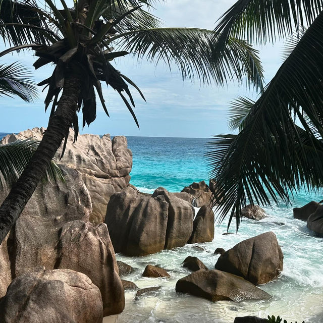 Untouched Beauty of the Indian Ocean