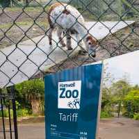可愛動物園