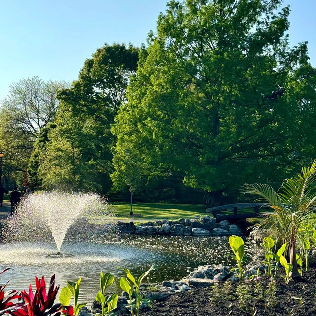 班嘉奇蒂公園🗺️ 綠意盎然的天地