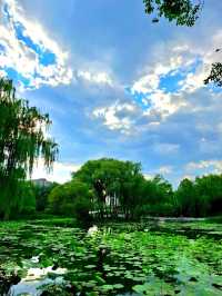 Fun Day at Zizhuyuan Park