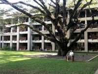 รีวิวที่พัก Le meridien Chiangrai Resort