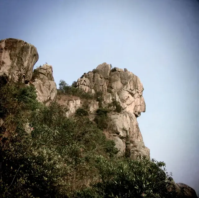 🏞️ 獅子山郊遊體驗★自然與夜景之美