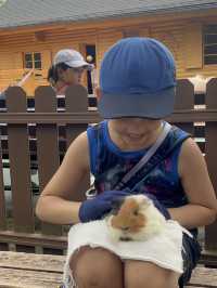 近距離餵動物嘅難忘體驗 