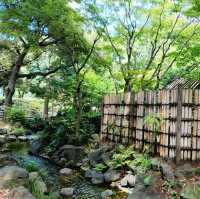 横浜観光おすすめスポット✨横浜公園『彼我公園』