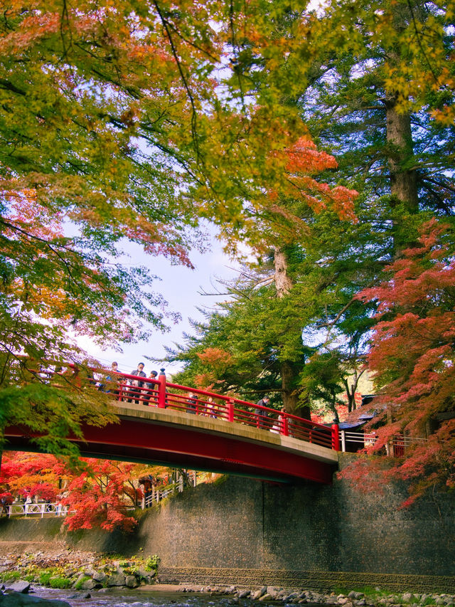 【青森】「ここはすべてが魅力的である。」と海外の文献に残る紅葉スポット🍁観光攻略付き✨