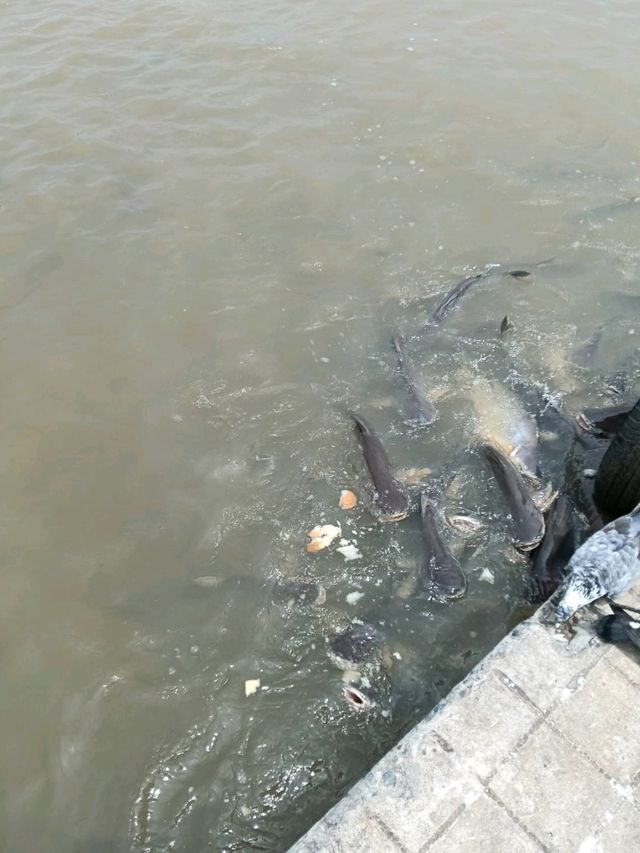 วัดเชิงเลน  จังหวัดนนทบุรี