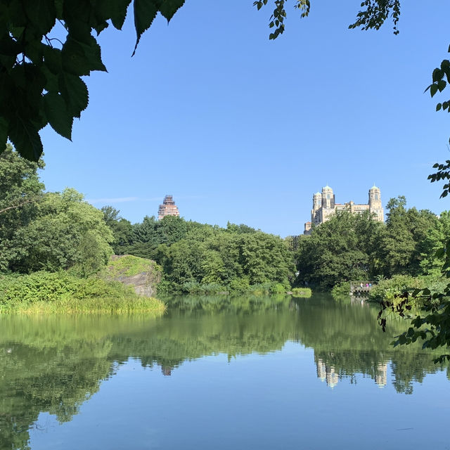 Urban Oasis: A Perfect Day in Central Park