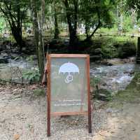 Walk into Forest to have a picnic in the natural market! 
