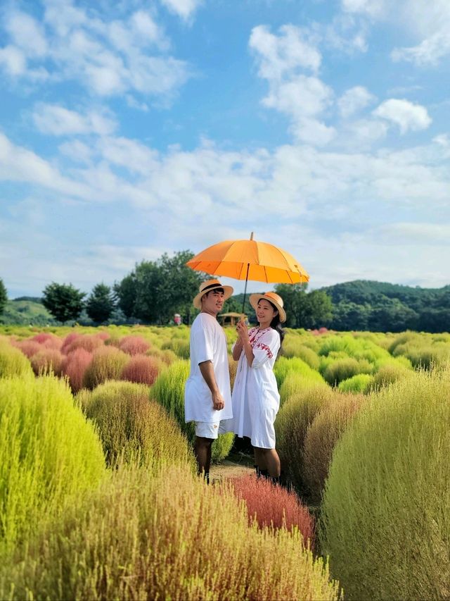 지금 가야할 연천 임진강댑싸리공원💚