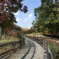 Escape to Nami Island: A Scenic Wonderland for All Seasons 🇰🇷