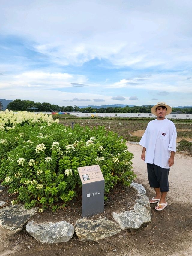 가을이 성큼 다가온 경주 첨성대 공원