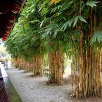 Find Your Zen at Putrajaya's China-Malaysia Friendship Garden