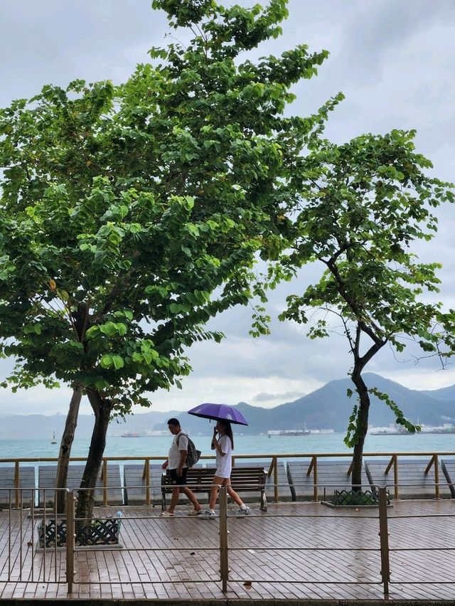 산책로를 걷고 해변뷰의 식당과 카페까지 즐길 수 있는 케네디타운-☆