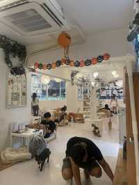 Cat cafe in Tsim sha Tsui @Hongkong