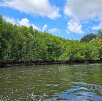A wander to nature, Mangrove River at Kilim Geoforest Park