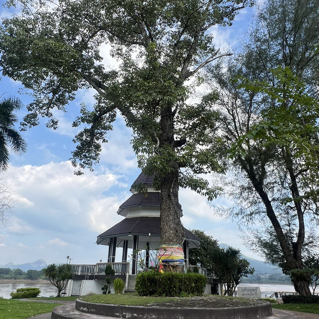 แก่งคุดคู้ สถานที่ถ่ายรูปสุดฮิตของเชียงคาน 