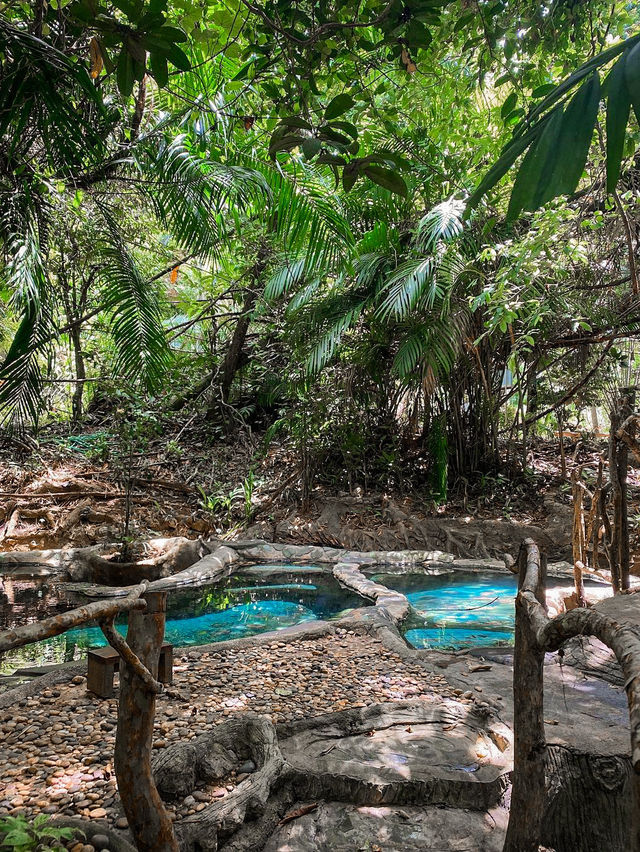 Saline Hot Spring Khlong Thom