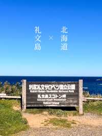 【北海道礼文島】最北限の地スコトン岬✨