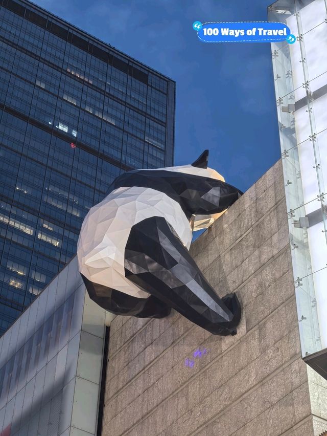 Secret Panda Photo Spot in Chengdu