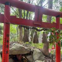 福岡景點｜求學問之神、藝術之道在太宰府天滿宮