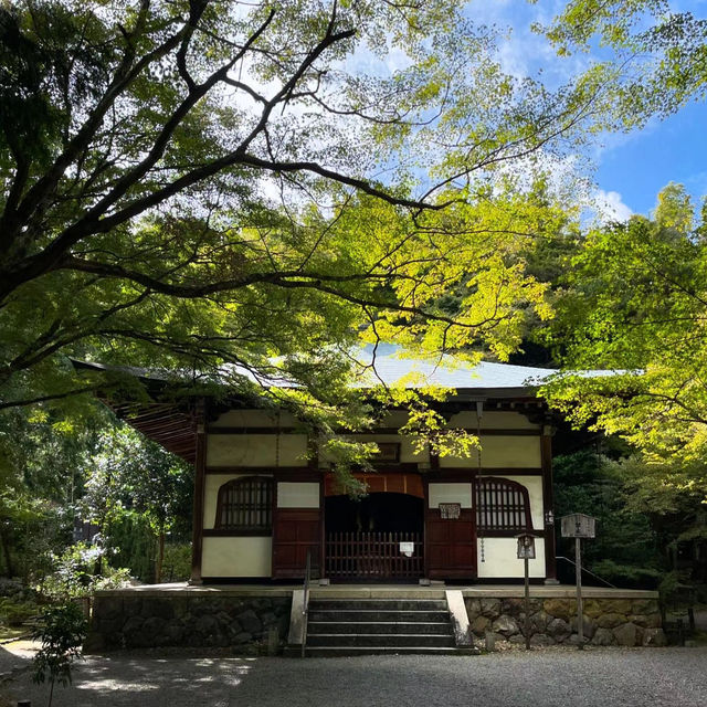 #竹林山松月院：在竹林深處尋找禪意的樂趣！🎍🧘‍♂️