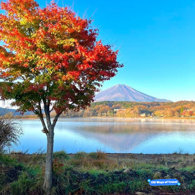 Strolling Serenity: Lake Kawaguchi's Scenic Walking Trails