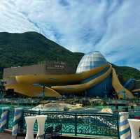 Ocean park Hong Kong :love aquatic wildlife begins with me