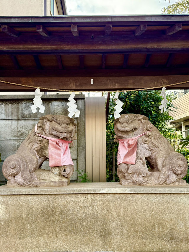 【東京都】石神井の地名が由来