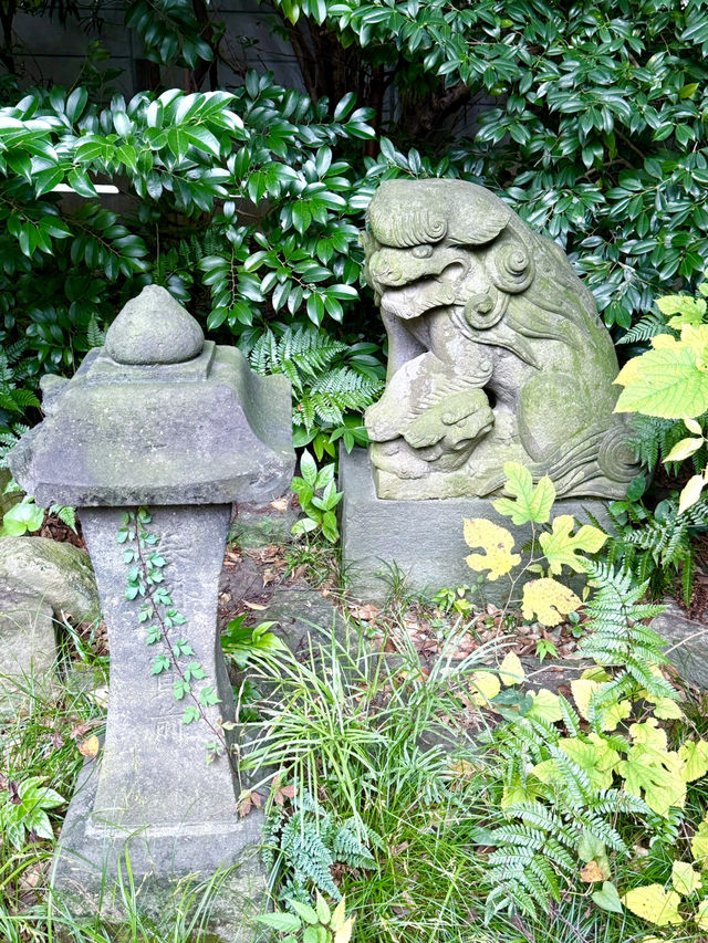 【東京都】秋めいた境内は、より秋色に染まる
