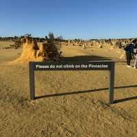  Pinnacles Desert：西澳大利亞的自然奇觀 🌵✨ 