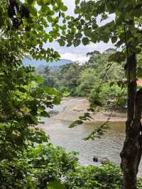 Things to do in Bukit Lawang 