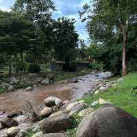 ที่พักเชียงใหม่ท่ามกลางสวนดอกไม้ 