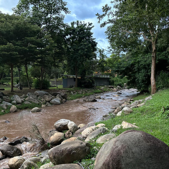 ที่พักเชียงใหม่ท่ามกลางสวนดอกไม้ 