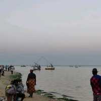 Maputo fish market, experience the local market