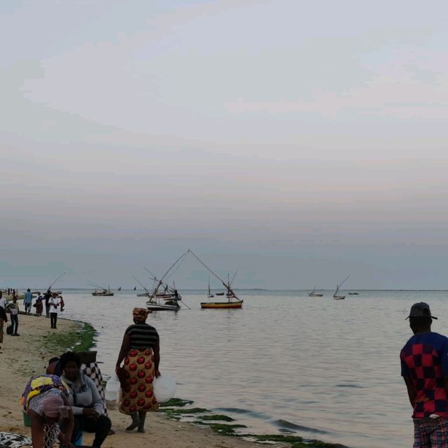 Maputo fish market, experience the local market