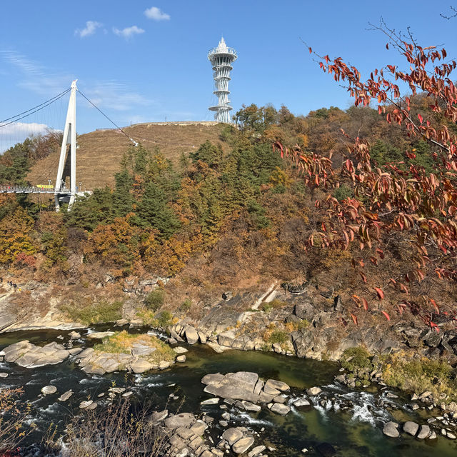 [강원도] 철원 한탄강 물윗길 트레킹♥️다녀오기