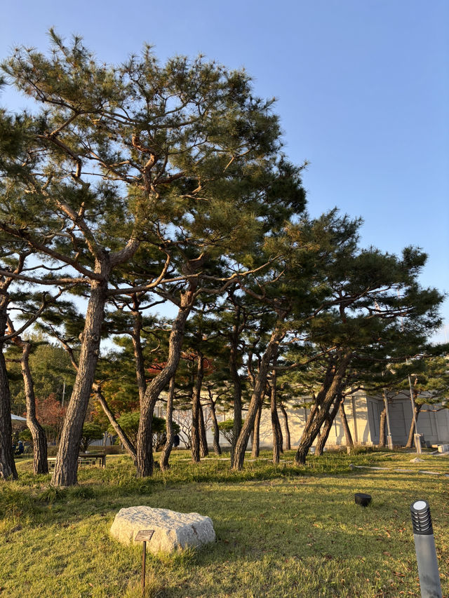 백제 무왕이 건립한 최대 사원 미륵사를 대표하는 익산 박물관✈️