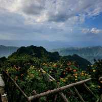 Discover the Wonders of Zhangjiajie