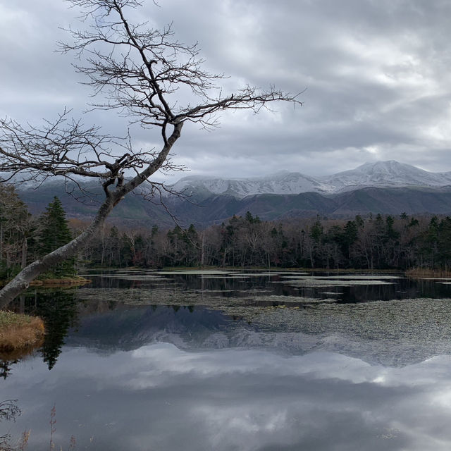 Rewarding sights at Shiretoko Five Lakes morning walk late autumn