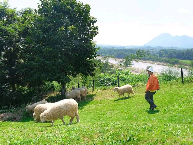𝐀𝐛𝐨𝐧𝐳𝐨 𝐘𝐚𝐦𝐚 𝐌𝐢𝐭𝐬𝐮 🐑