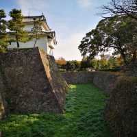 Timeless Beauty and Golden Charm: Exploring Nagoya Castle!