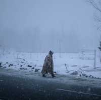 Winter in Jammu and Kashmir: A Snowy Stroll