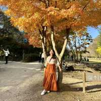 Beautiful Nami Island